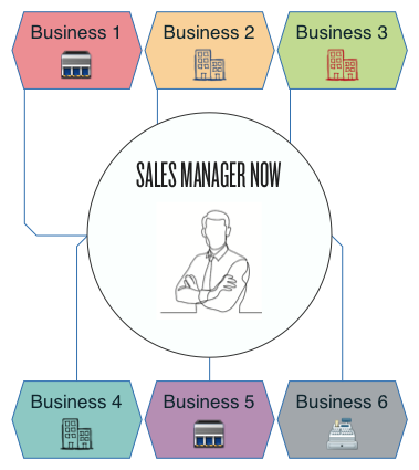 shared sales manager model